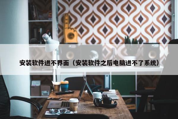 安装软件进不界面（安装软件之后电脑进不了系统）