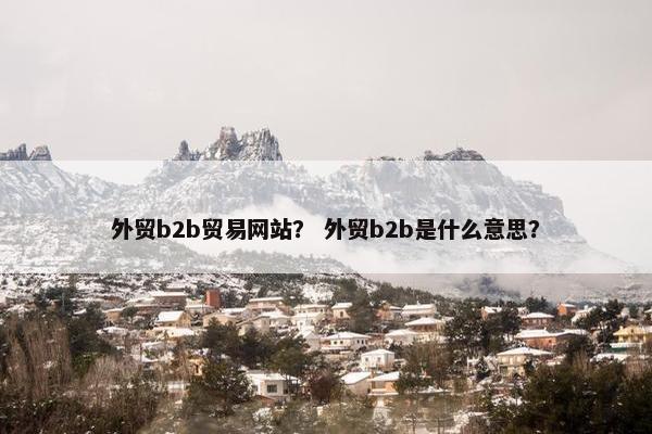 外贸b2b贸易网站？ 外贸b2b是什么意思？