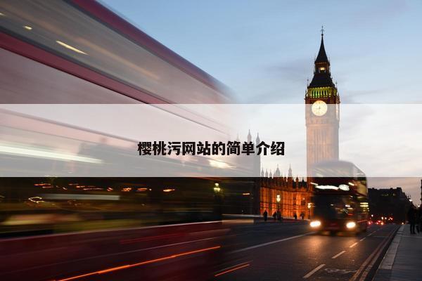 樱桃污网站的简单介绍