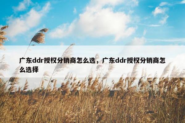 广东ddr授权分销商怎么选，广东ddr授权分销商怎么选择