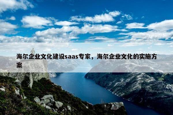 海尔企业文化建设saas专家，海尔企业文化的实施方案
