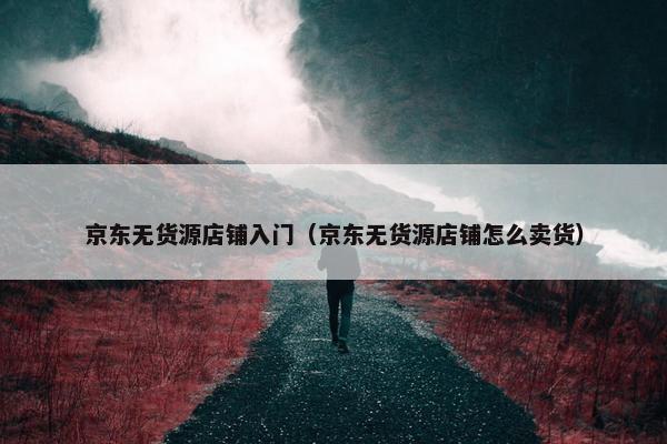 京东无货源店铺入门（京东无货源店铺怎么卖货）