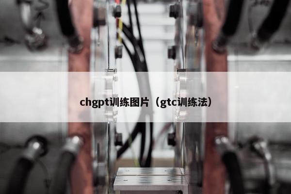 chgpt训练图片（gtc训练法）