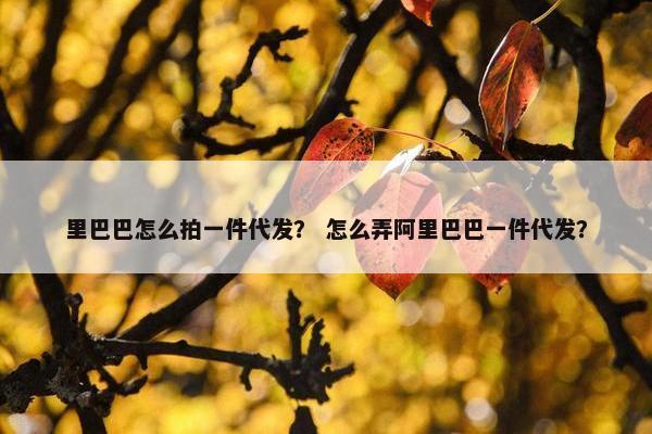 里巴巴怎么拍一件代发？ 怎么弄阿里巴巴一件代发？