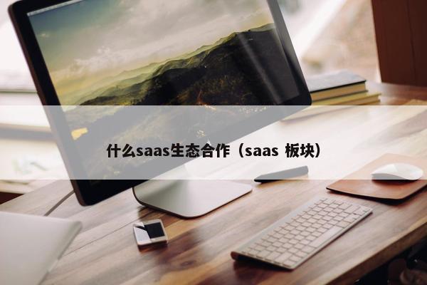 什么saas生态合作（saas 板块）