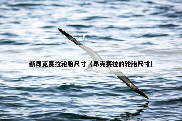新昂克赛拉轮胎尺寸（昂克赛拉的轮胎尺寸）