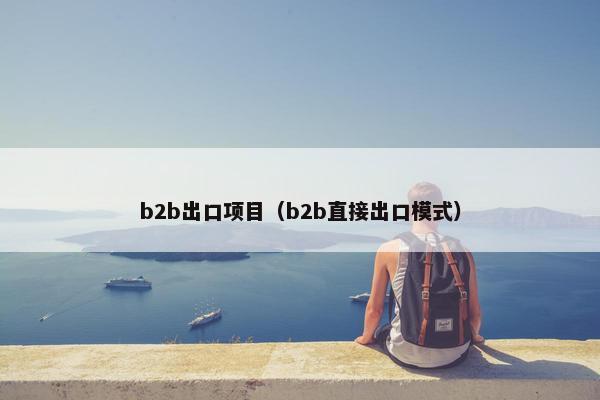 b2b出口项目（b2b直接出口模式）