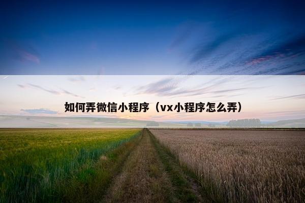 如何弄微信小程序（vx小程序怎么弄）
