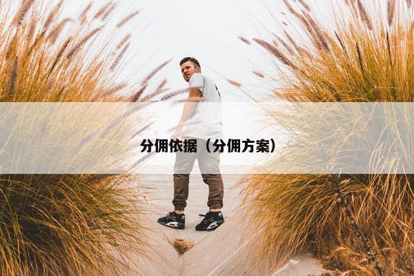 分佣依据（分佣方案）