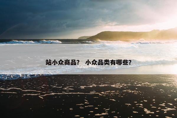 站小众商品？ 小众品类有哪些？