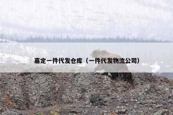嘉定一件代发仓库（一件代发物流公司）