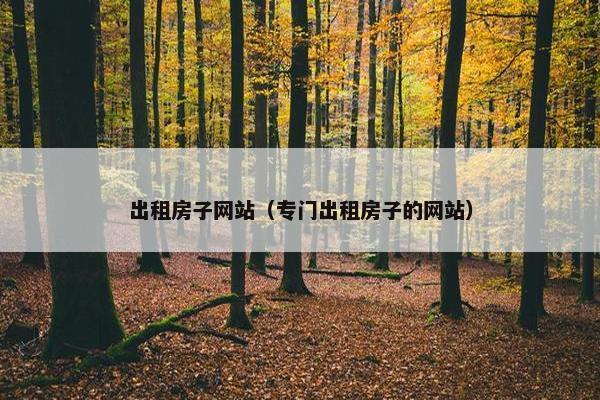 出租房子网站（专门出租房子的网站）