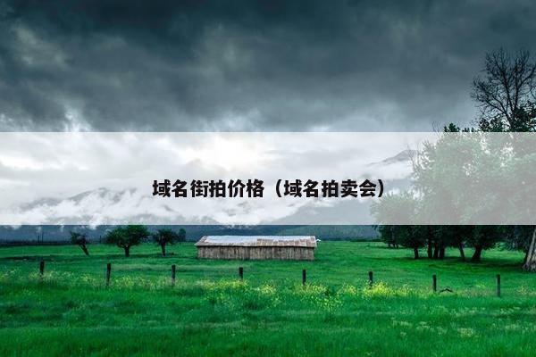 域名街拍价格（域名拍卖会）