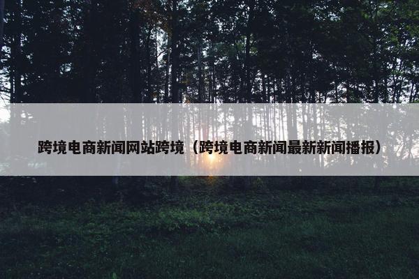 跨境电商新闻网站跨境（跨境电商新闻最新新闻播报）