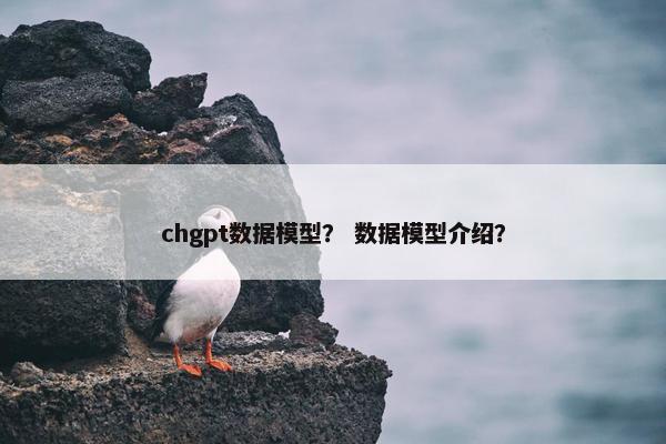 chgpt数据模型？ 数据模型介绍？