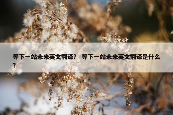 等下一站未来英文翻译？ 等下一站未来英文翻译是什么？