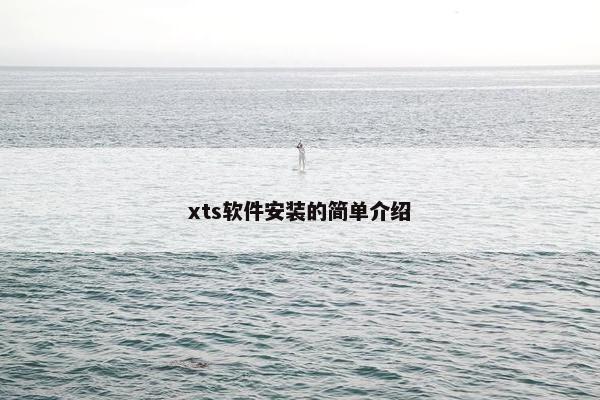 xts软件安装的简单介绍