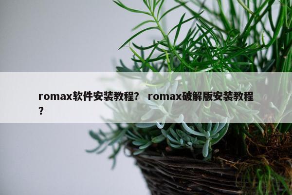 romax软件安装教程？ romax破解版安装教程？