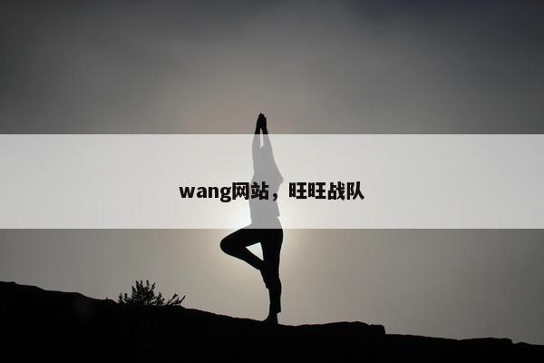 wang网站，旺旺战队