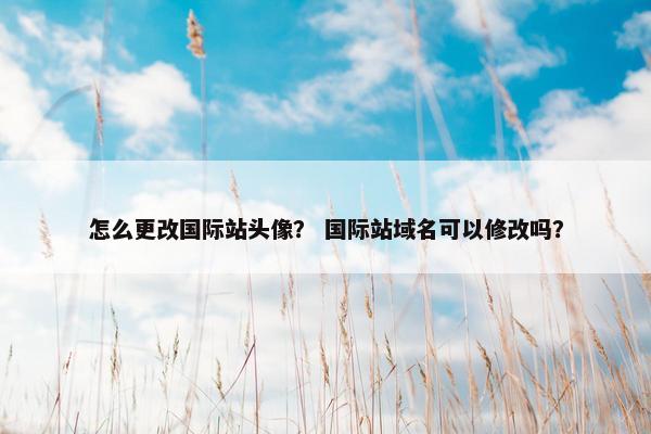 怎么更改国际站头像？ 国际站域名可以修改吗？