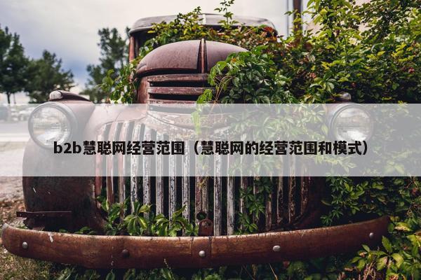 b2b慧聪网经营范围（慧聪网的经营范围和模式）