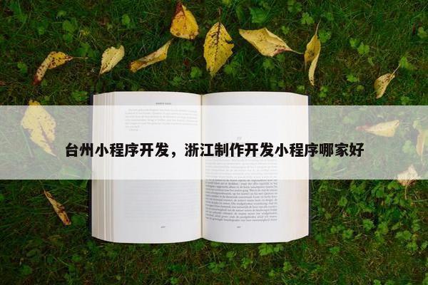 台州小程序开发，浙江制作开发小程序哪家好