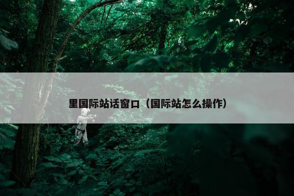 里国际站话窗口（国际站怎么操作）