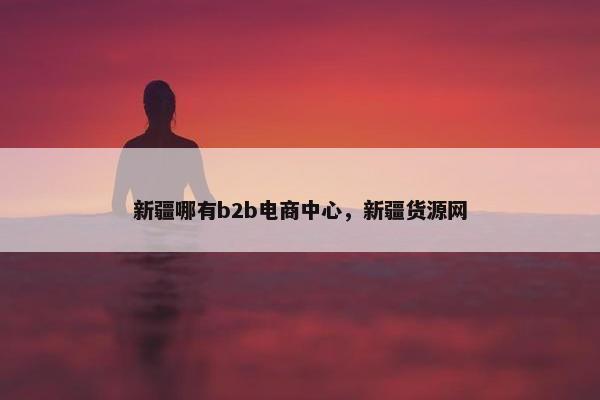 新疆哪有b2b电商中心，新疆货源网