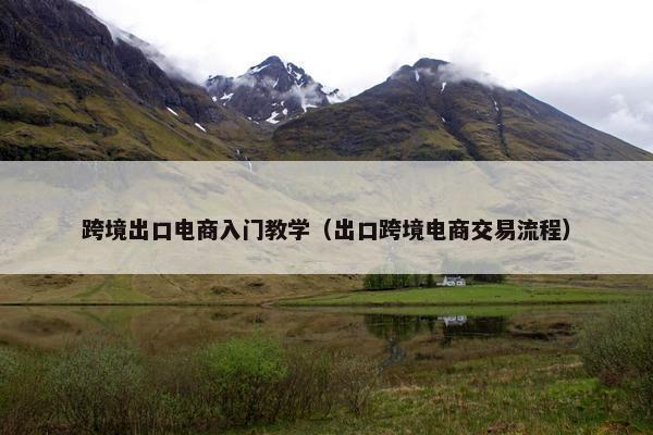 跨境出口电商入门教学（出口跨境电商交易流程）