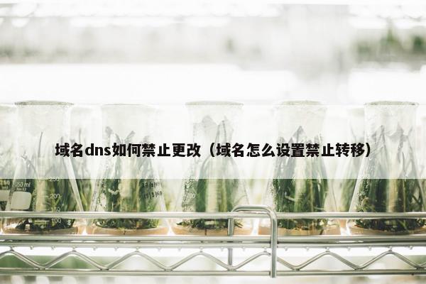 域名dns如何禁止更改（域名怎么设置禁止转移）