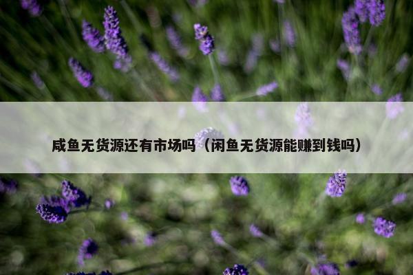 咸鱼无货源还有市场吗（闲鱼无货源能赚到钱吗）