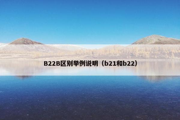 B22B区别举例说明（b21和b22）
