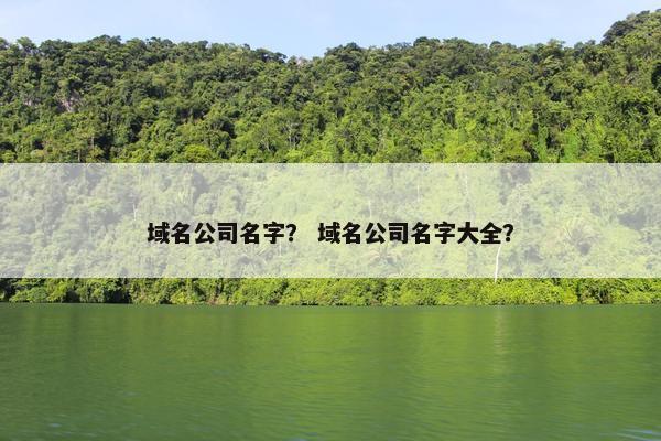域名公司名字？ 域名公司名字大全？