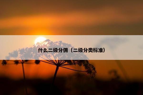 什么二级分佣（二级分类标准）