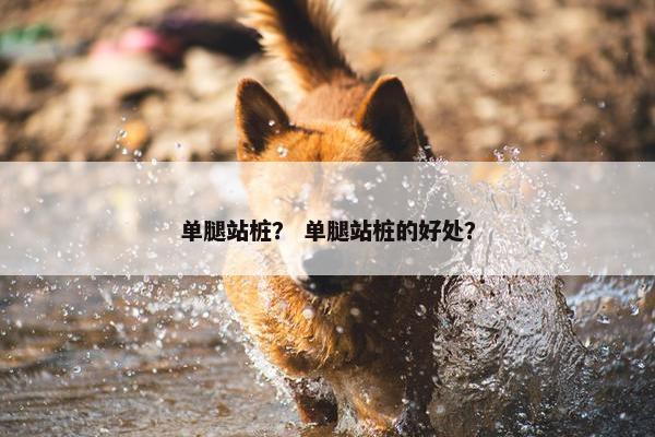 单腿站桩？ 单腿站桩的好处？