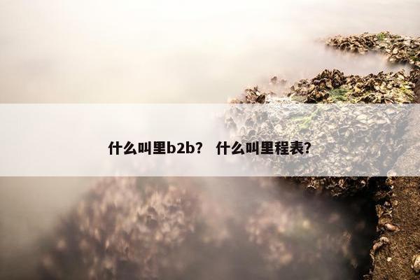 什么叫里b2b？ 什么叫里程表？