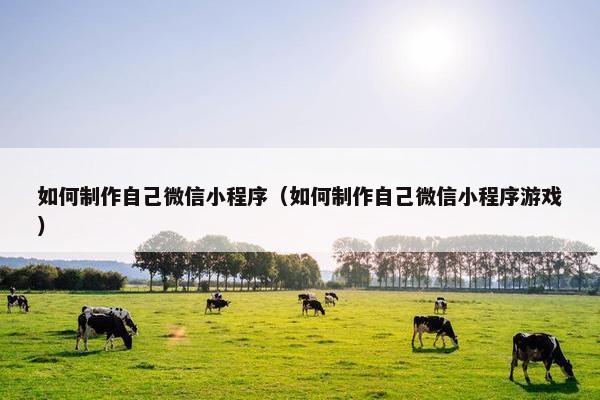 如何制作自己微信小程序（如何制作自己微信小程序游戏）