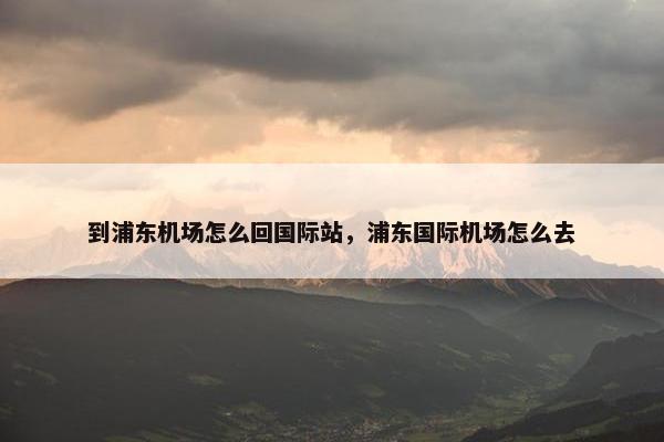 到浦东机场怎么回国际站，浦东国际机场怎么去