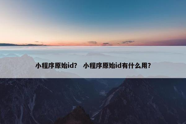 小程序原始id？ 小程序原始id有什么用？