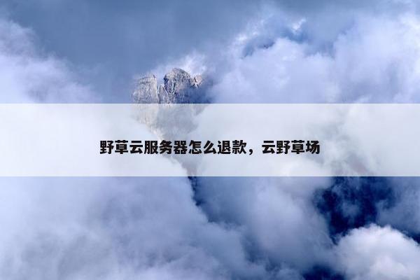 野草云服务器怎么退款，云野草场