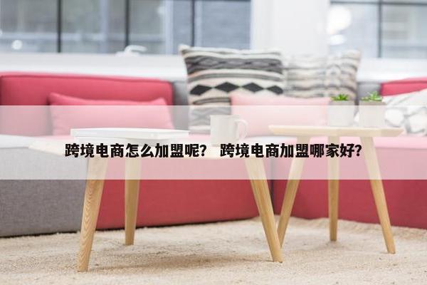 跨境电商怎么加盟呢？ 跨境电商加盟哪家好？
