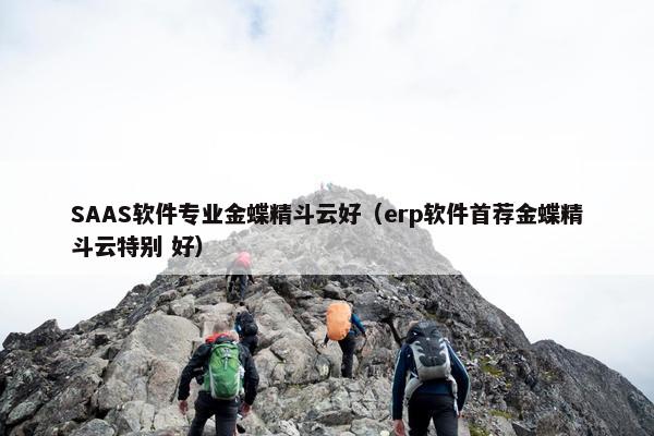SAAS软件专业金蝶精斗云好（erp软件首荐金蝶精斗云特别 好）