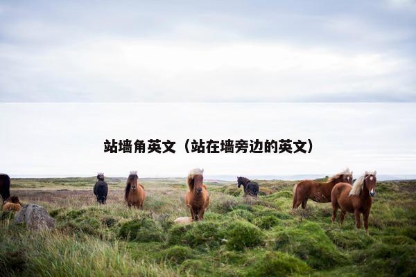 站墙角英文（站在墙旁边的英文）