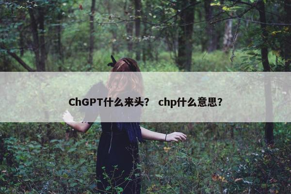 ChGPT什么来头？ chp什么意思？