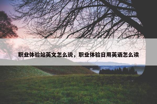 职业体验站英文怎么说，职业体验日用英语怎么读