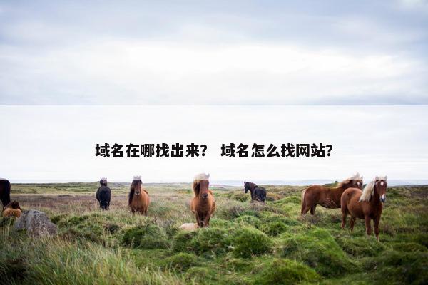 域名在哪找出来？ 域名怎么找网站？