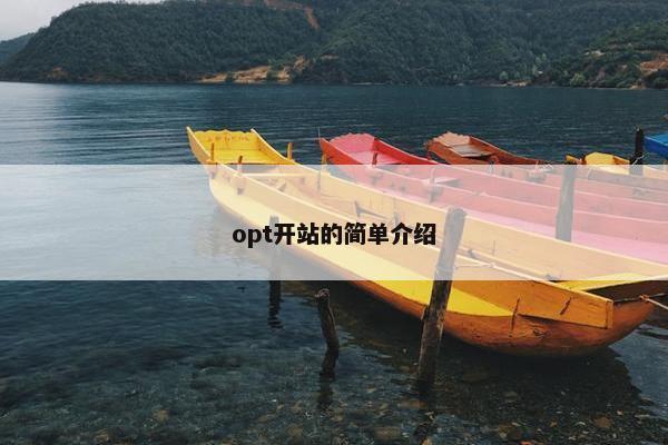 opt开站的简单介绍