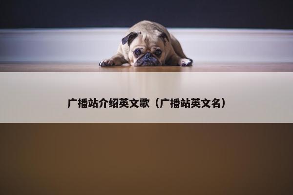 广播站介绍英文歌（广播站英文名）