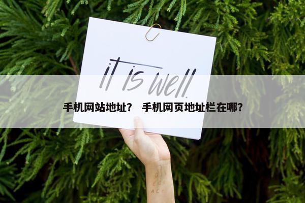 手机网站地址？ 手机网页地址栏在哪？