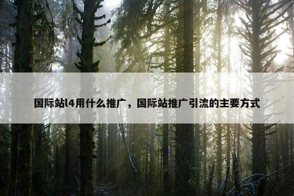 国际站l4用什么推广，国际站推广引流的主要方式